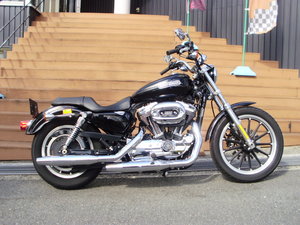101110 XL1200L.JPG